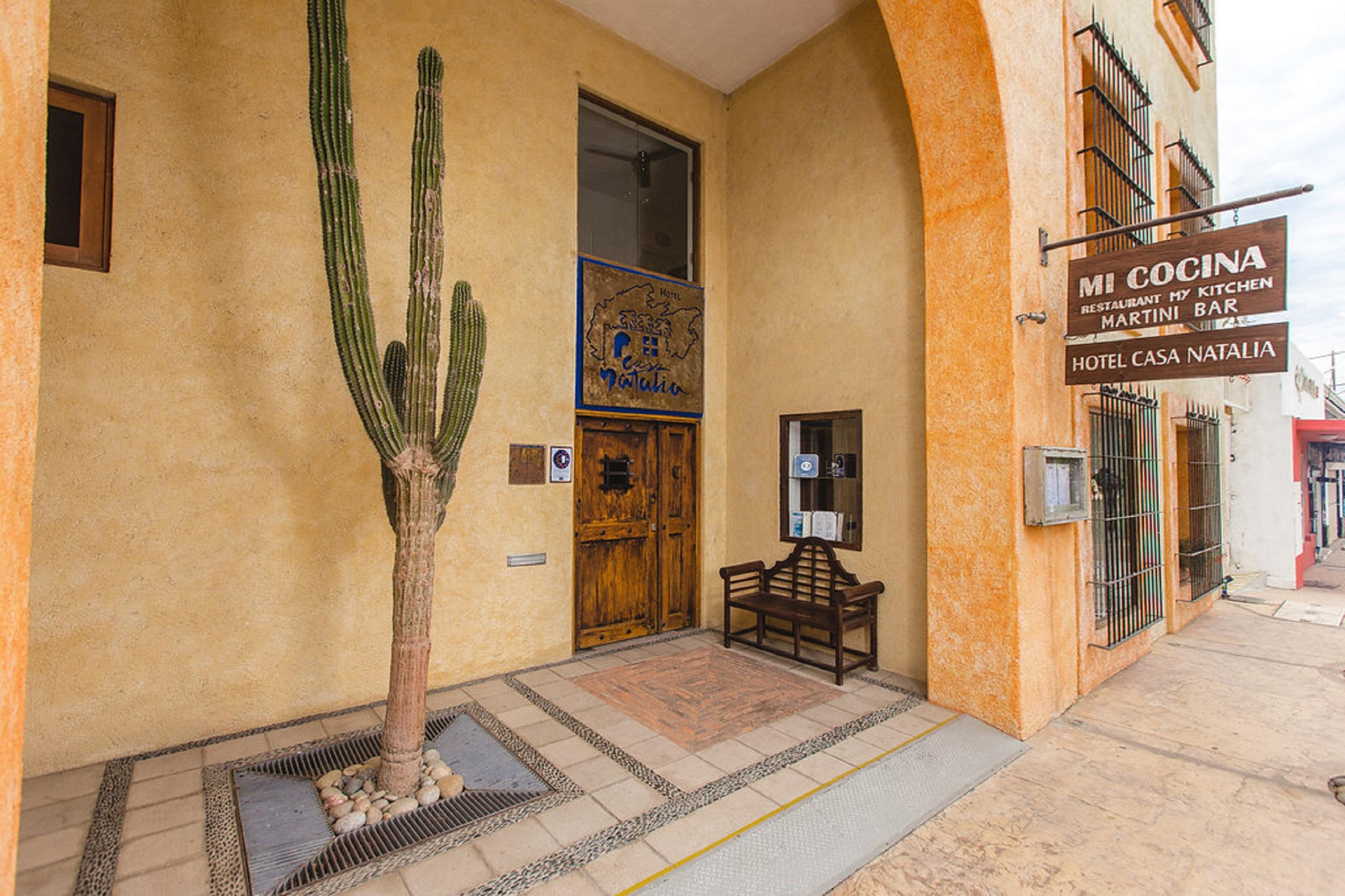 Casa Natalia Boutique Hotel Adults Only San José del Cabo Eksteriør billede