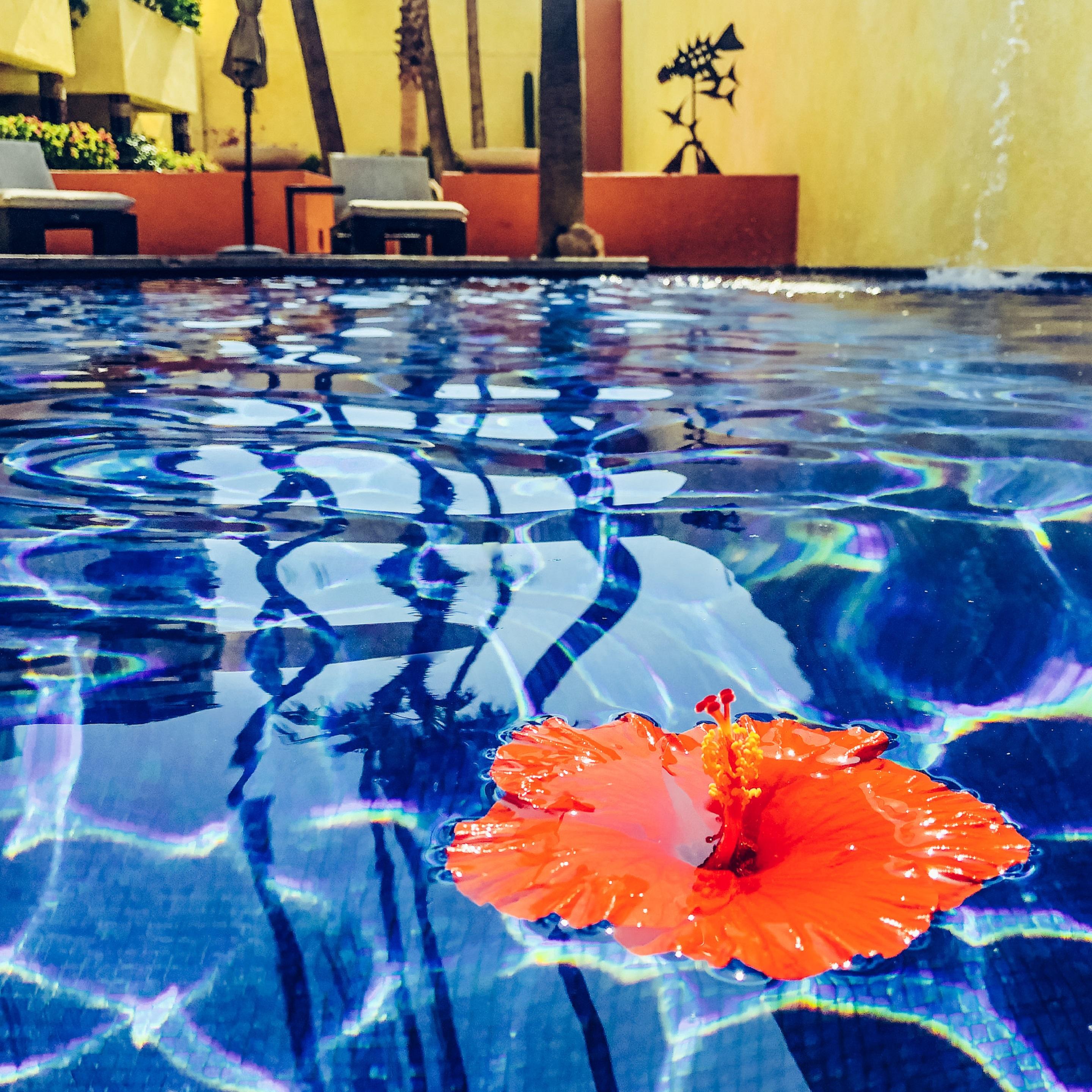 Casa Natalia Boutique Hotel Adults Only San José del Cabo Eksteriør billede